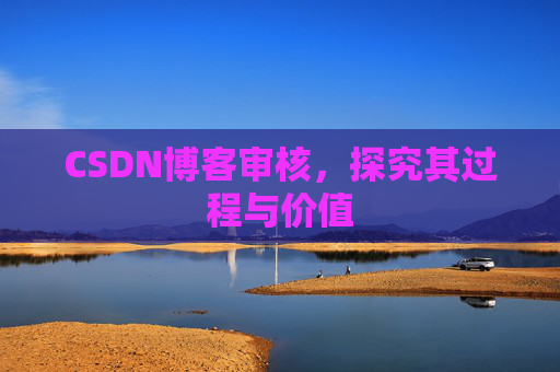 CSDN博客审核，探究其过程与价值